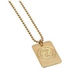 Gold Plated Dog Tag And Chain