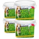 Grass Green Lawn Granular Professional NPK Fertiliser 4 x 2.5KG