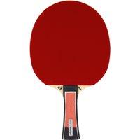 Club Table Tennis Bat Lebrun Pro X 5* Ittf