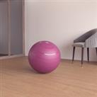 Size 1 / 55cm Robust Swiss Ball - Pink