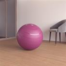 Size 2 / 65cm Durable Swiss Ball - Pink