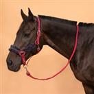 Horse Riding Halter + Leadrope Kit For Horse & Pony Comfort - Pink/blue/black