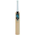 Gm Diamond 101 Kashmir Willow Cricket Bat