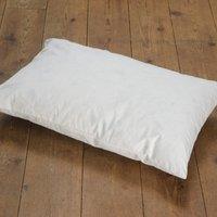 Duck Feather Cushion Pad White