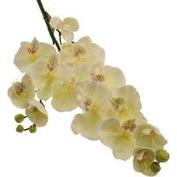 Artificial Cream Real Touch Orchid Stems