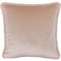 Paoletti Freya Velvet Cushion