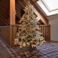 6ft Pre-Lit Frosted Andorra Fir Christmas Tree