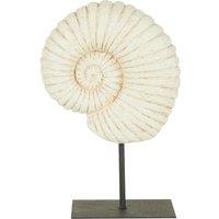 Fossil Shell on Stand Sculpture Brown