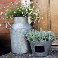 Ivyline Galvanised Milk Churn Plant Pot