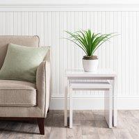 Artificial Dracaena in White Ceramic Plant Pot