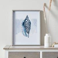 Shell Framed Print