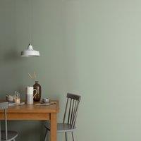 Dunelm Sage Eggshell Emulsion Paint