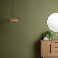 Dunelm Light Moss Eggshell Emulsion Paint