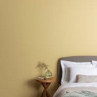 Dunelm Primrose Eggshell Emulsion Paint