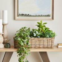 Natural Rattan Planter Box