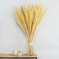 Dried Broom Grass