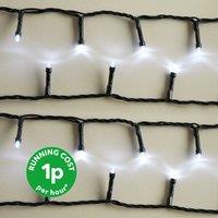 100 LED Chain Lights