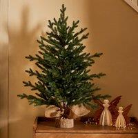 3ft Abies Christmas Tree in Burlap Base