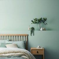 Dunelm Matt Emulsion Paint