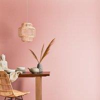Dunelm Matt Emulsion Paint
