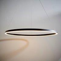 Vogue Wheeler Integrated LED Hoop Ceiling Light