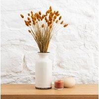 Dried Phalaris Bouquet