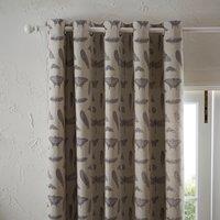 Nature's Study Natural Eyelet Curtains Brown