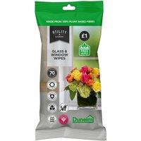Glass & Window Wipes