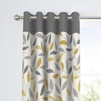 Fusion Beechwood Eyelet Curtains