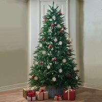 6ft Bedminster Spruce Medium Christmas Tree