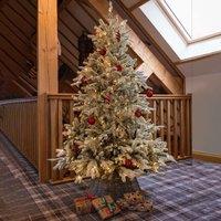 7.5ft Pre-Lit Frosted Andorra Fir Christmas Tree