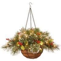 20" Wintry Pine Hanging Basket