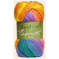 Hayfield Spirit Chunky Yarn