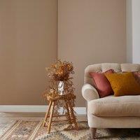 Dunelm Pebble Eggshell Emulsion Paint