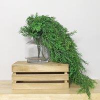 Artificial Green Trailing Pine Bush Stems