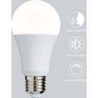 Status SMART 9W ES GLS Temperature Changing Pearl Bulb
