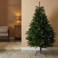 6ft Fraser Fir Christmas Tree