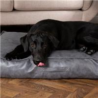 Scruffs Knightsbridge Mattress Pet Bed
