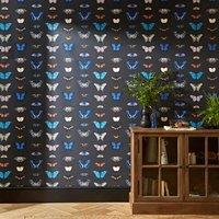 Butterfly Curator Raven Wallpaper Black