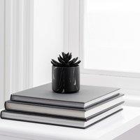 Artificial Succulent in Black Marble Plant Pot