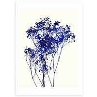 East End Prints Baby's Breath Print