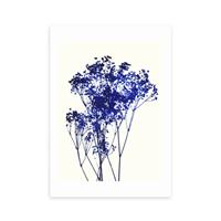 East End Prints Baby's Breath Print
