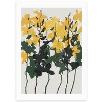 East End Prints Orchids 7 Print