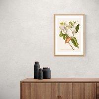 East End Prints Magnolia Print