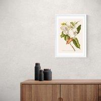 East End Prints Magnolia Print