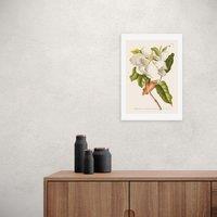 East End Prints Magnolia Print