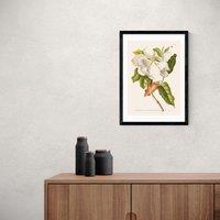 East End Prints Magnolia Print