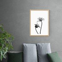 East End Prints Iris Print