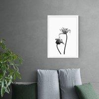 East End Prints Iris Print