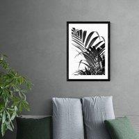 East End Prints Palm Leaf 02 Print